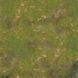 Мапа для НРІ рулонна (трава) b42-8i0 фото