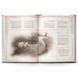 The One Ring: Hands of the White Wizard (Sourcebook) a18-6a3 фото 5