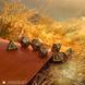 Набір кубиків "The Lord of the Rings: Rohan Dice Set" 21c-66c фото 8