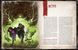 Поклик Ктулху. Жахіття за брамою (Call of Cthulhu: Gateways to Terror) 72i-906 фото 3